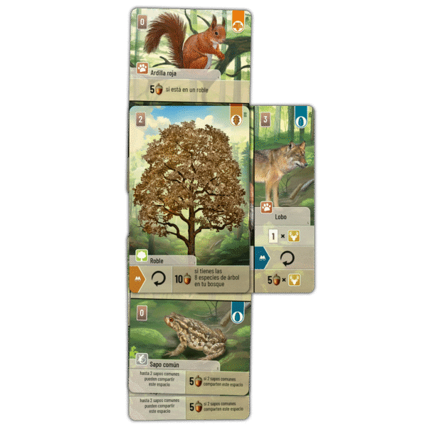 Forest Shufle - Imagen 2